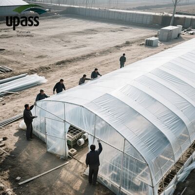 Agricultural Greenhouse Film Sheet Roll UV Anti-Blocking Waterproof Injection Plastic