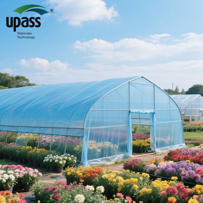 Ready to Ship UV Resistant PE Film Greenhouse Plastic Agriculture Polyhouse Greenhouse for Farm Use
