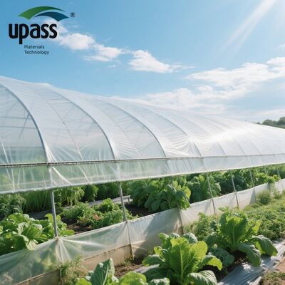 Film Rumah Kaca Pertanian Anti-UV Anti-Penuaan UF508 Langsung Pabrik MOQ 5000 Meter Persegi Cetakan Tiup 100x55x55cm Gulungan Pemotongan