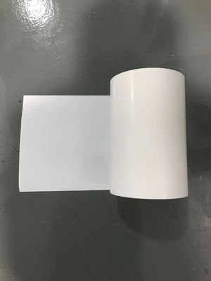Tag 90 Micron 0.09mm Film Plastik Polyethylene