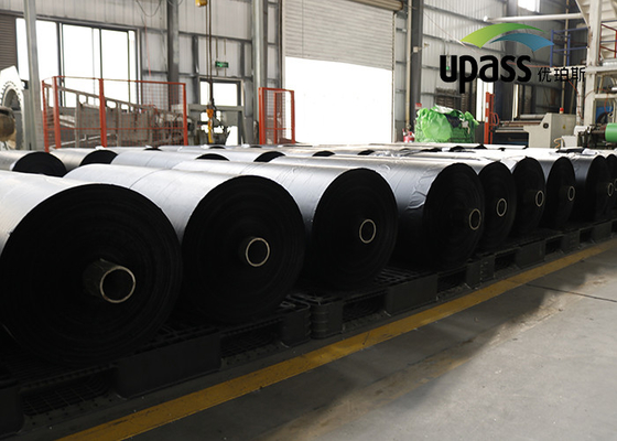 Film Pelepasan Termal Waterproofing HDPE PE Silicone Coated Polyester Film